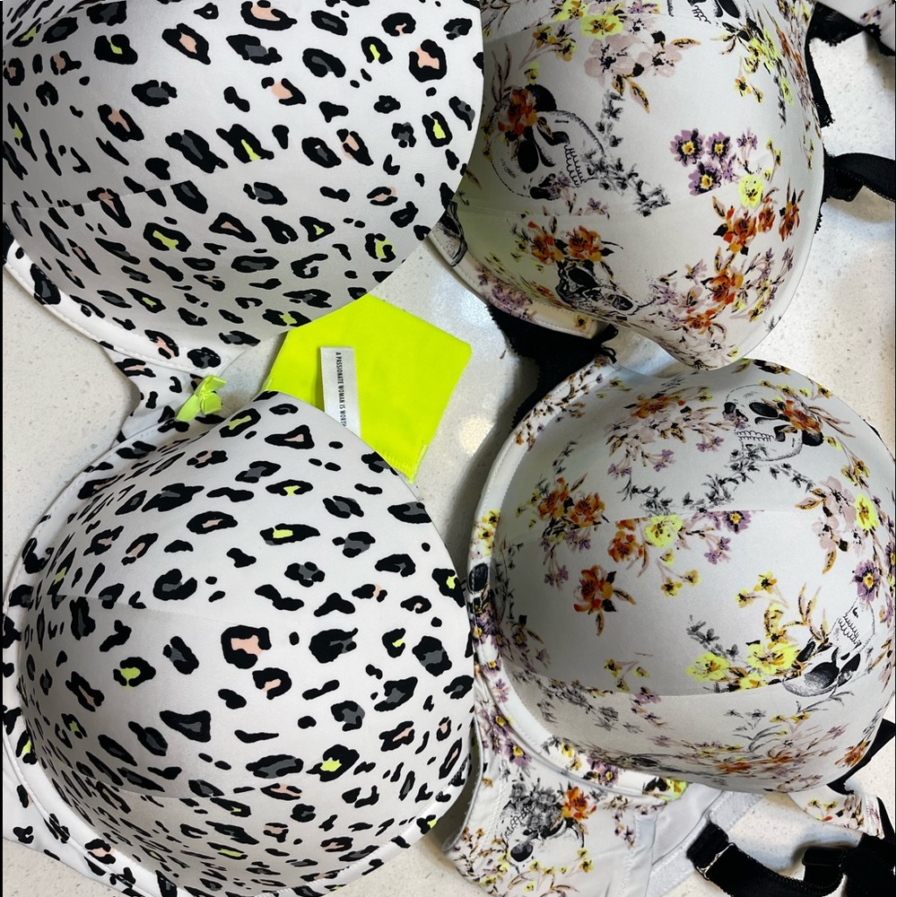 Torrid Bras